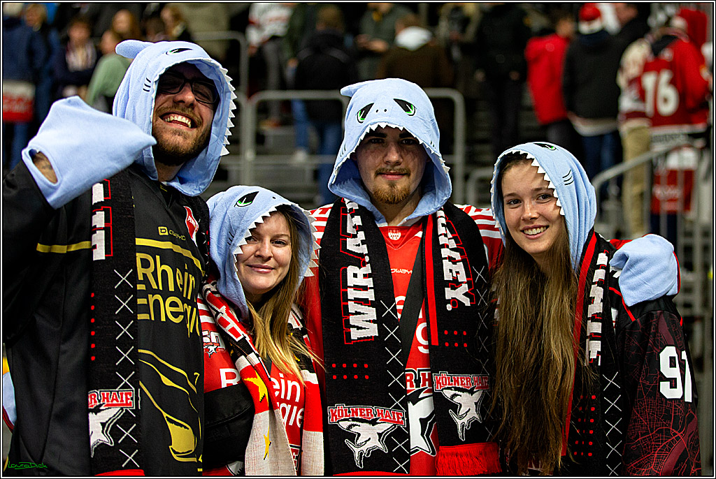 PENNY DEL; Koelner Haie- Iserlohn Roosters; Koeln, 27.11.2022